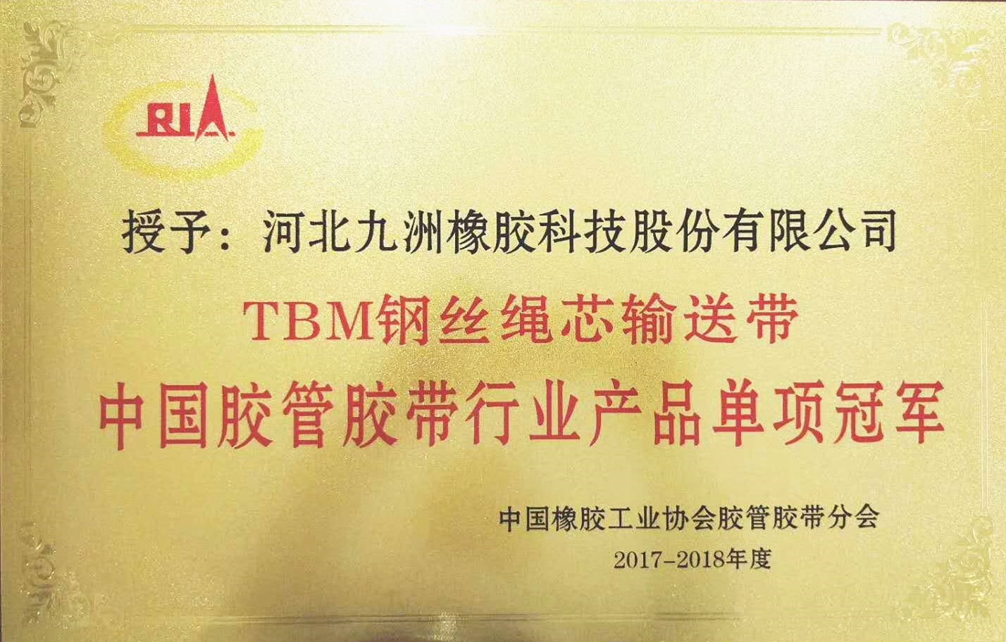 中國TBM鋼絲繩芯輸送帶冠軍稱號(hào)